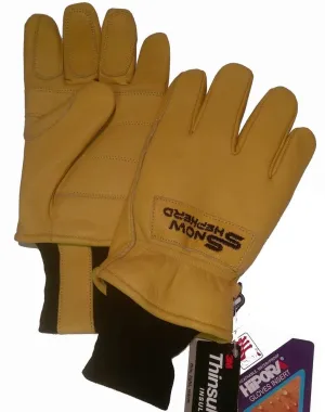 Guide Glove